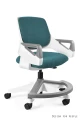 krzesło ergonomiczne dla dziecka Rookee PL04 Teal